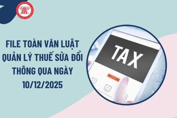 Pháp luật