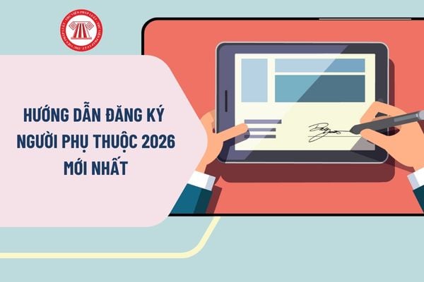 Pháp luật