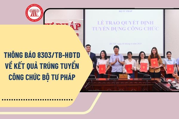 Pháp luật