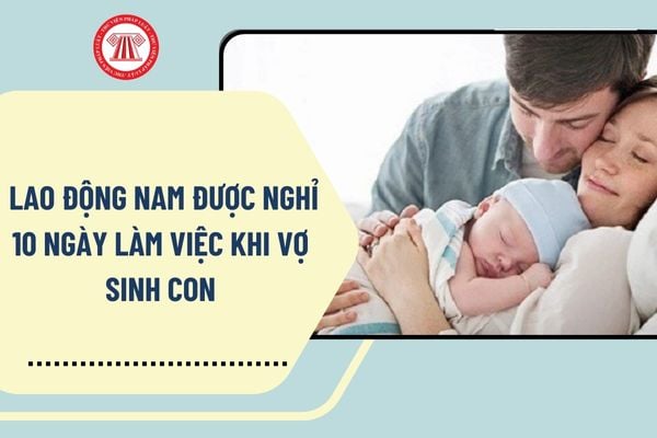 Pháp luật