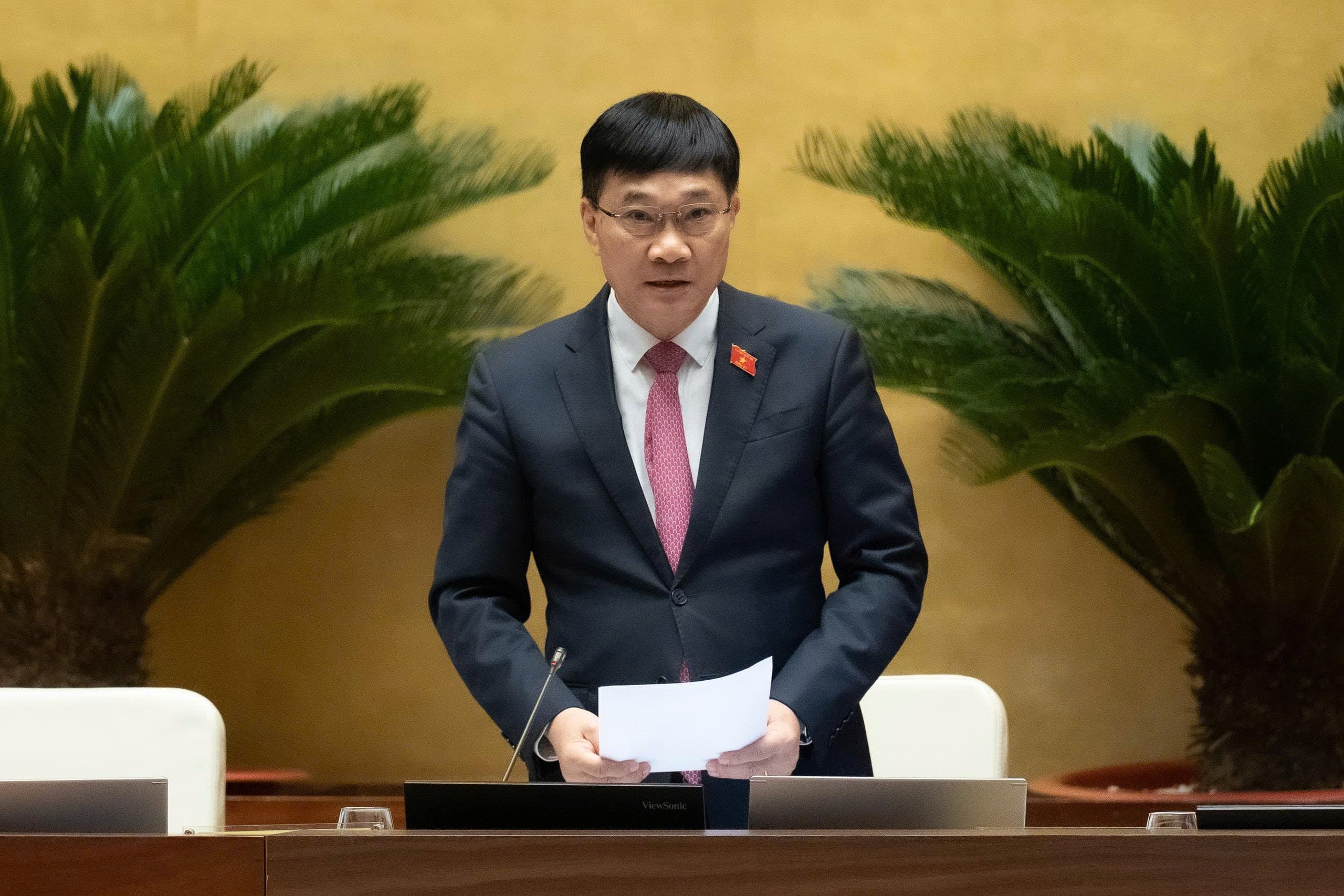 Pháp luật