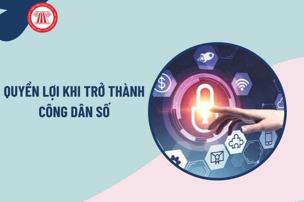 Pháp luật