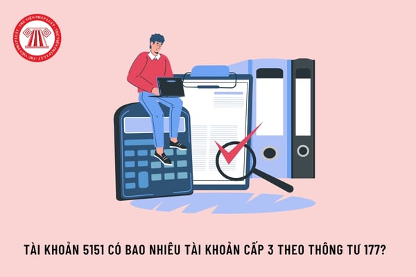 Tài khoản 5151 có bao nhiêu tài khoản cấp 3 theo Thông tư 177?