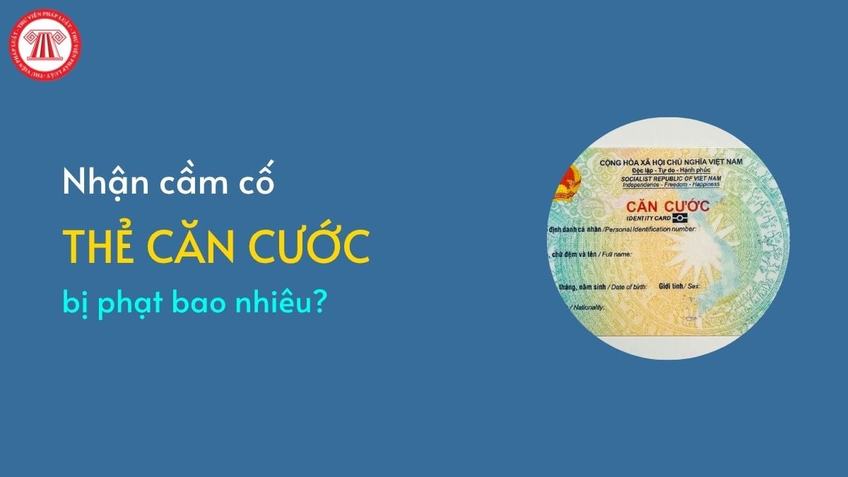 Pháp luật