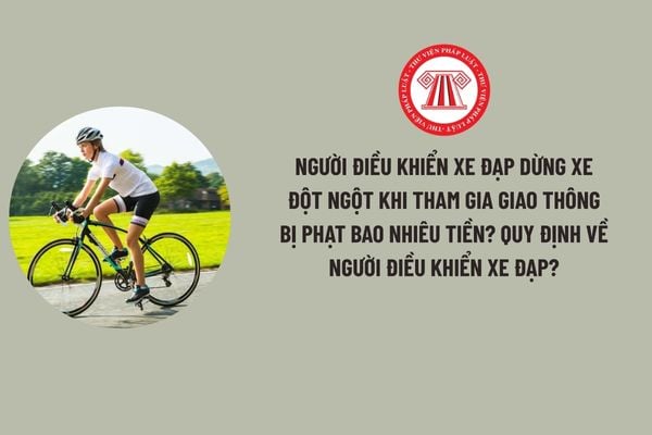 Pháp luật