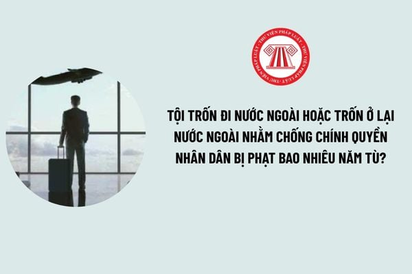 Pháp luật
