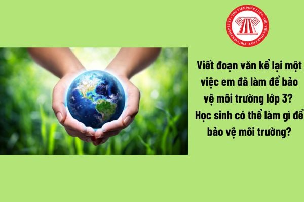 Viết đoạn văn kể lại một việc em đã làm để bảo vệ môi trường lớp 3? Học sinh có thể làm gì để bảo vệ môi trường?