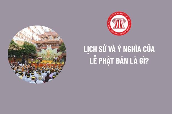 Pháp luật