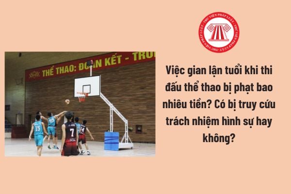 Pháp luật