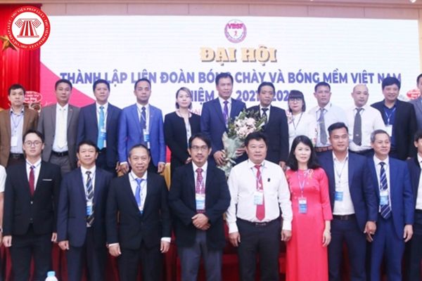 Ban chấp hành Liên đoàn Bóng chày và Bóng mềm Việt Nam