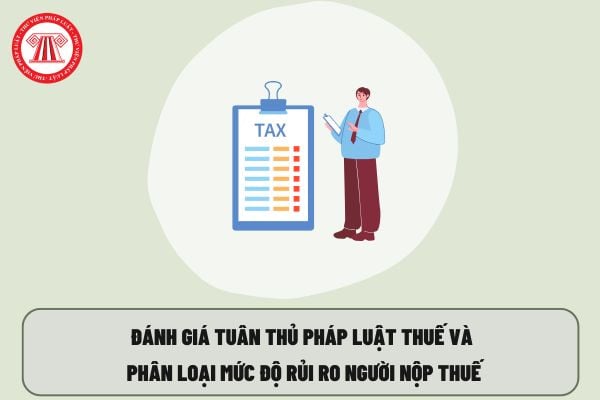 Pháp luật