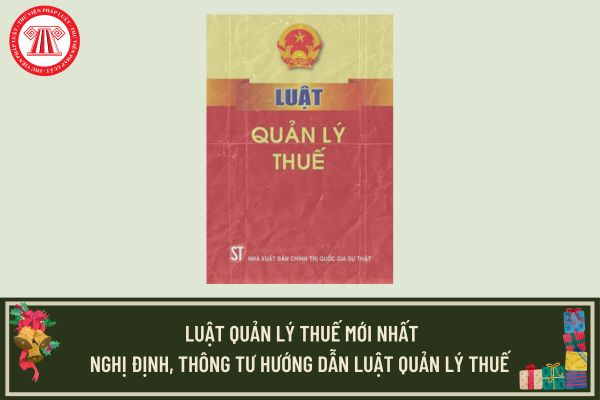 Pháp luật