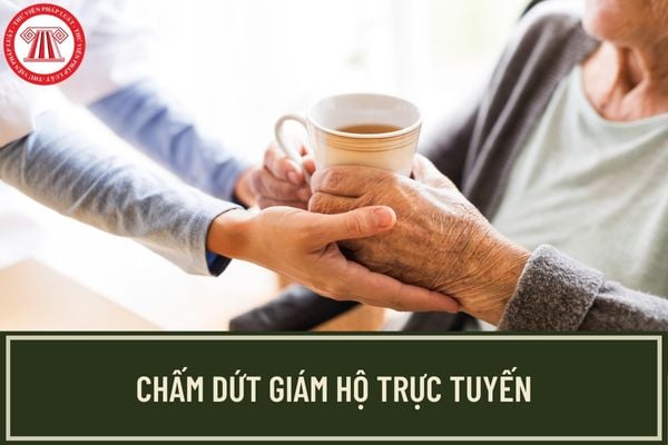 Bộ Tư pháp hướng dẫn thủ tục chấm dứt giám hộ online áp dụng từ tháng 4/2023? Những vấn đề cần lưu ý khi nộp hồ sơ?