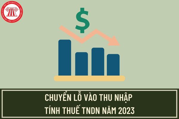 Doanh nghiệp kết chuyển lỗ vào thu nhập tính thuế TNDN năm 2024 ...