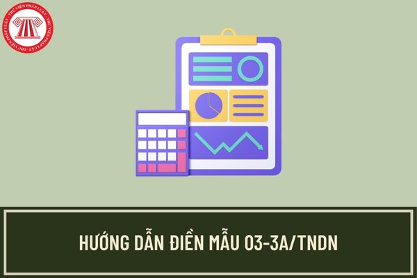 Hướng dẫn ghi phụ lục thuế TNDN được ưu đãi đối với thu nhập từ dự án đầu tư mới kèm theo Mẫu số 03/TNDN?