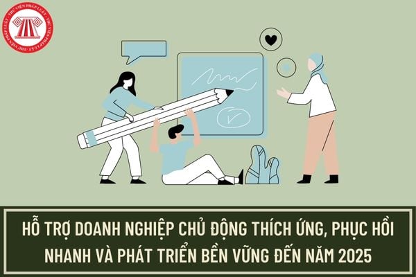 Chính sách quan trọng hỗ trợ doanh nghiệp chủ động thích ứng, phục hồi nhanh và phát triển bền vững đến năm 2025 là gì?