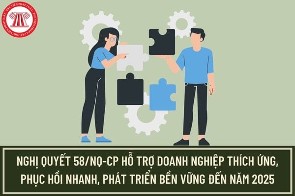 Chính phủ ban hành Nghị quyết 58/NQ-CP hỗ trợ doanh nghiệp thích ứng, phục hồi nhanh, phát triển bền vững đến năm 2025?