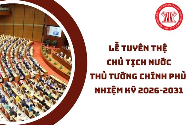 Pháp luật