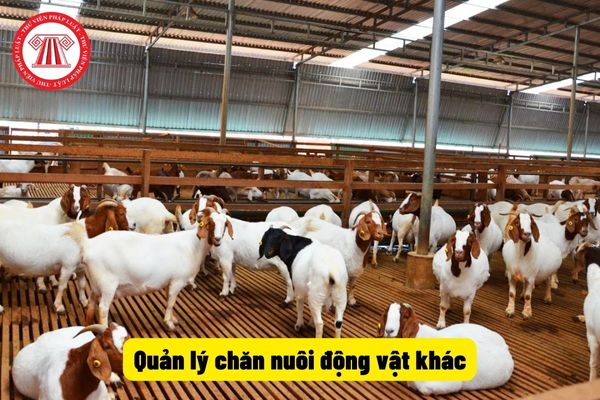 Quản lý chăn nuôi động vật khác