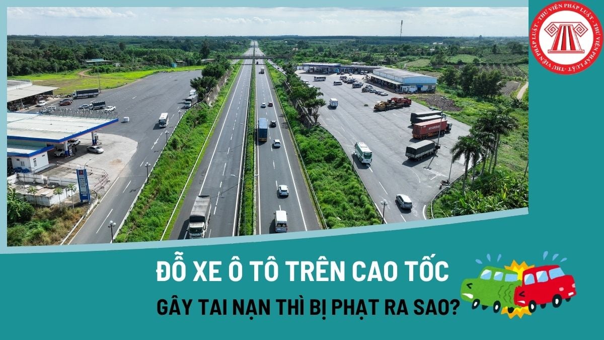 Pháp luật