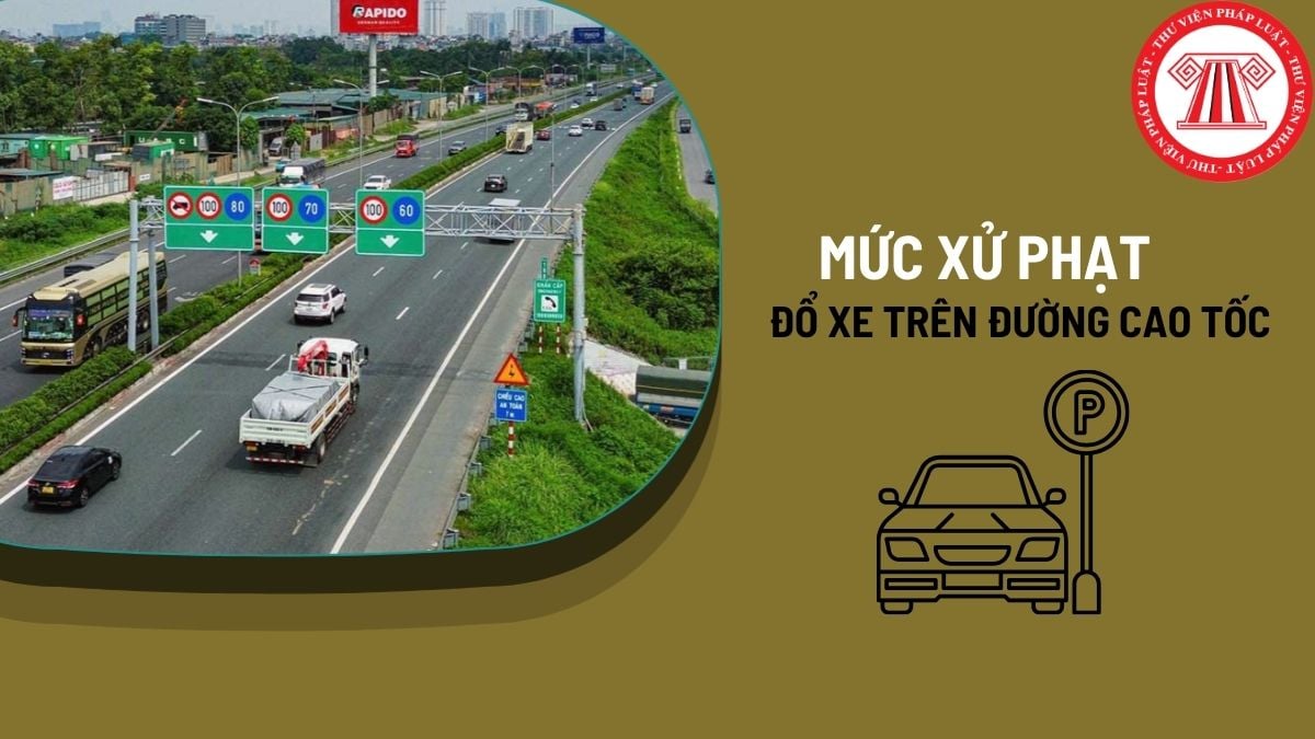 Pháp luật
