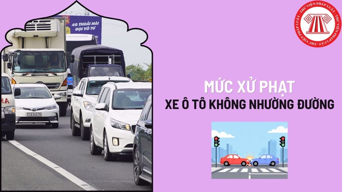Pháp luật
