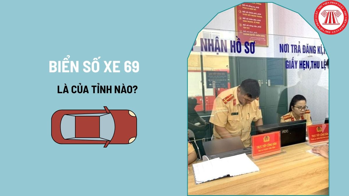 Pháp luật