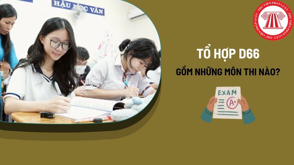 Pháp luật