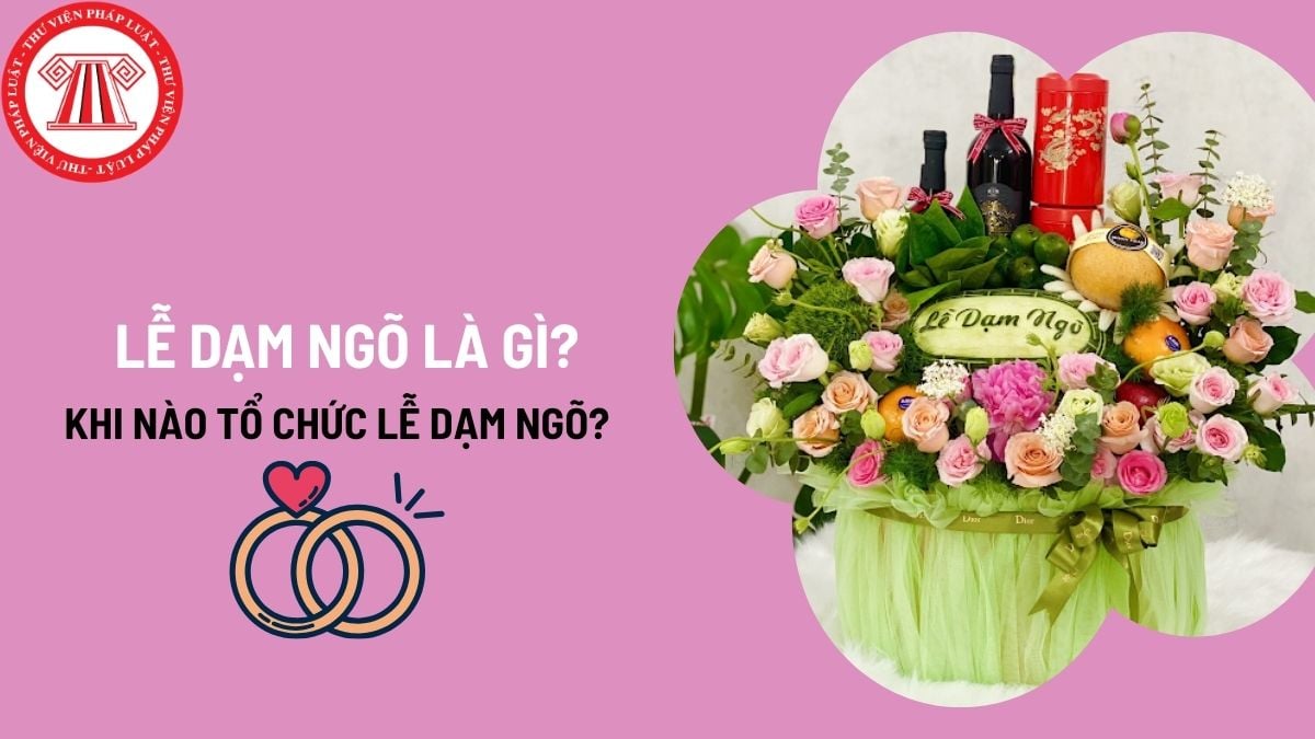 Pháp luật