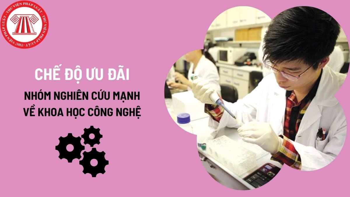 Pháp luật