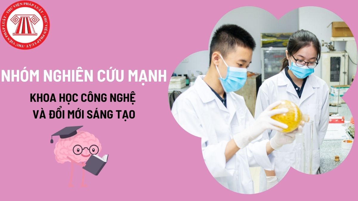 Pháp luật