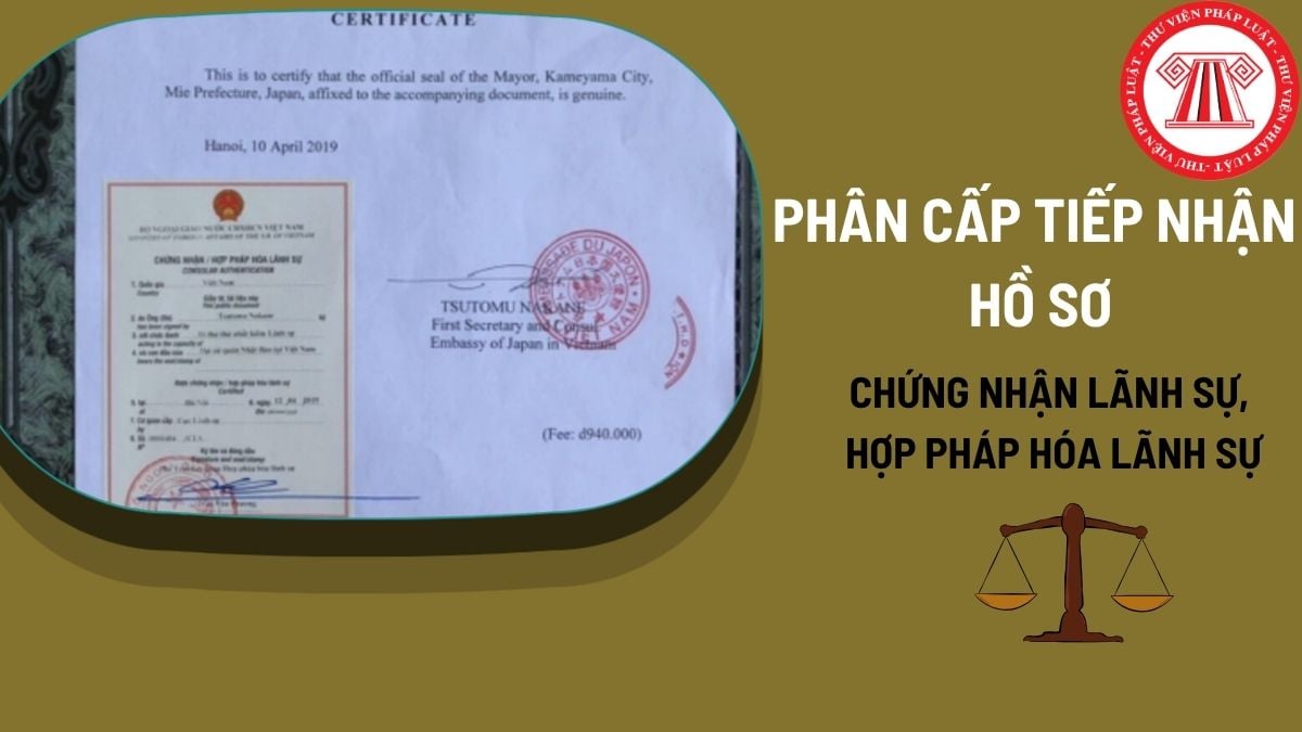 Pháp luật