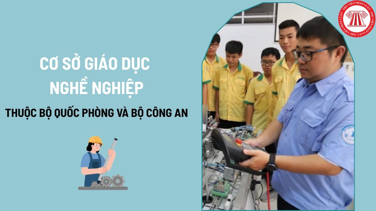 Pháp luật