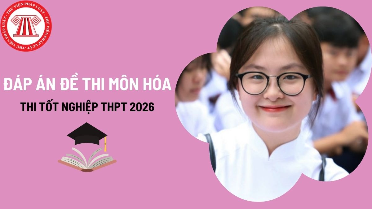 Pháp luật