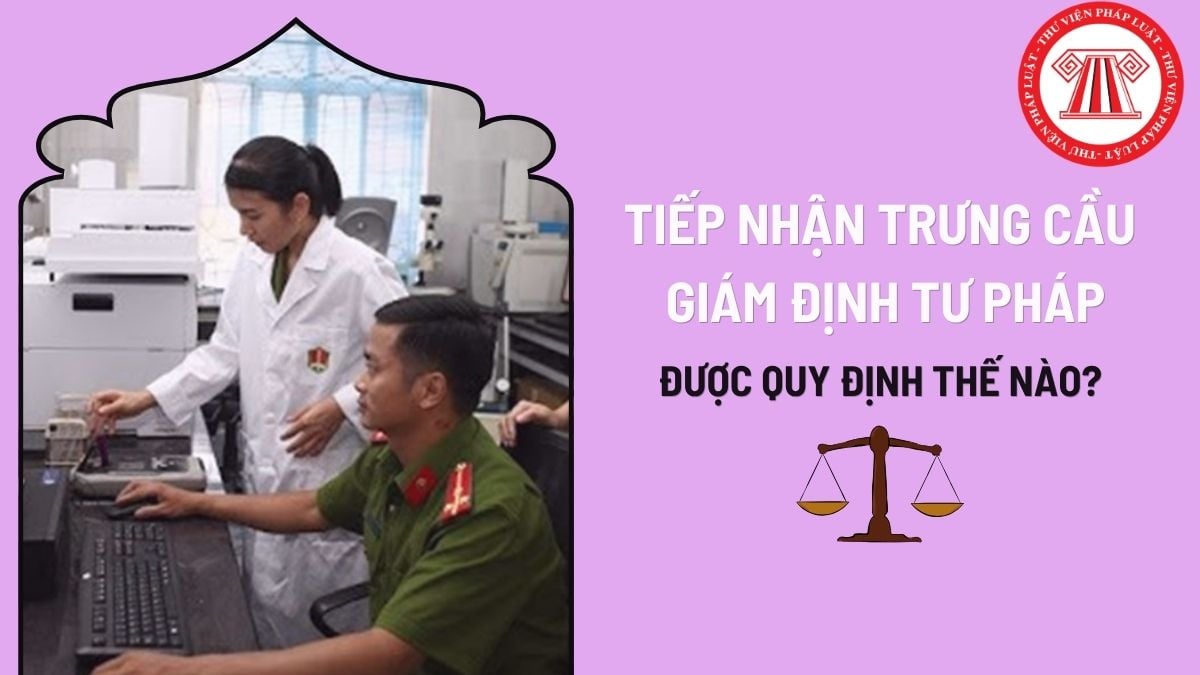 Pháp luật
