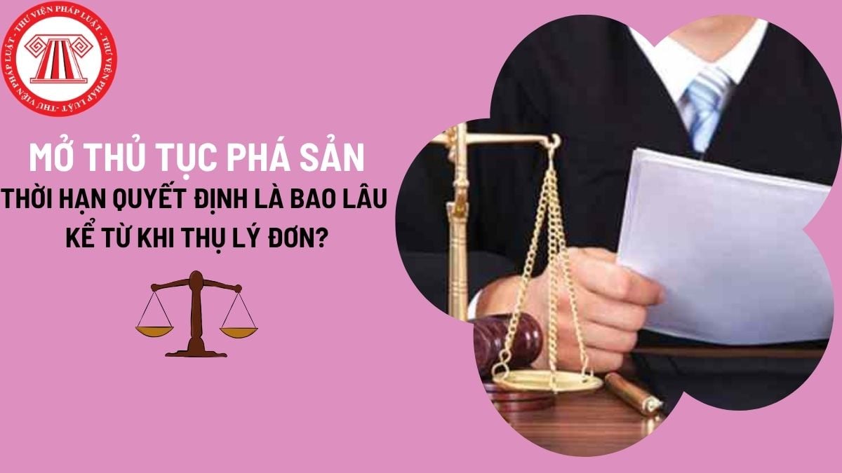 Thời hạn quyết định mở hoặc không mở thủ tục phá sản là khi nào? Quy định chi tiết về mở thủ tục phá sản?
