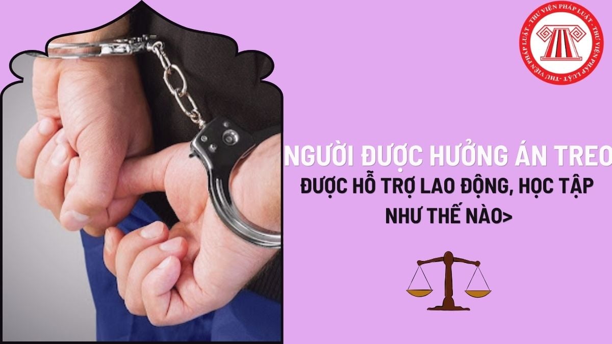 Pháp luật