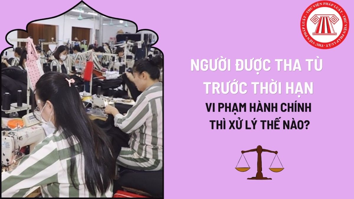 Pháp luật