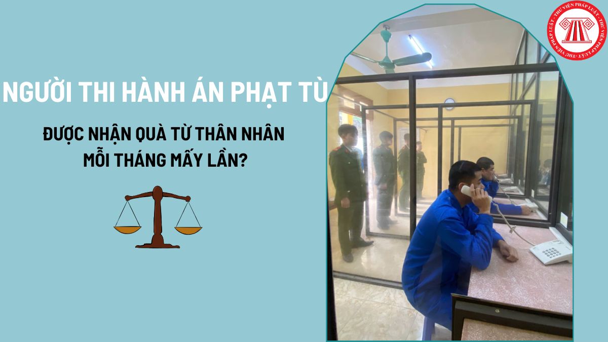 Pháp luật