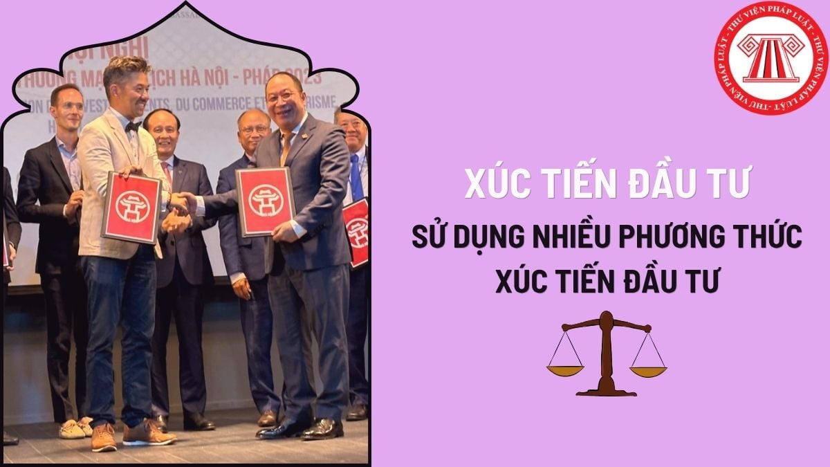 Pháp luật