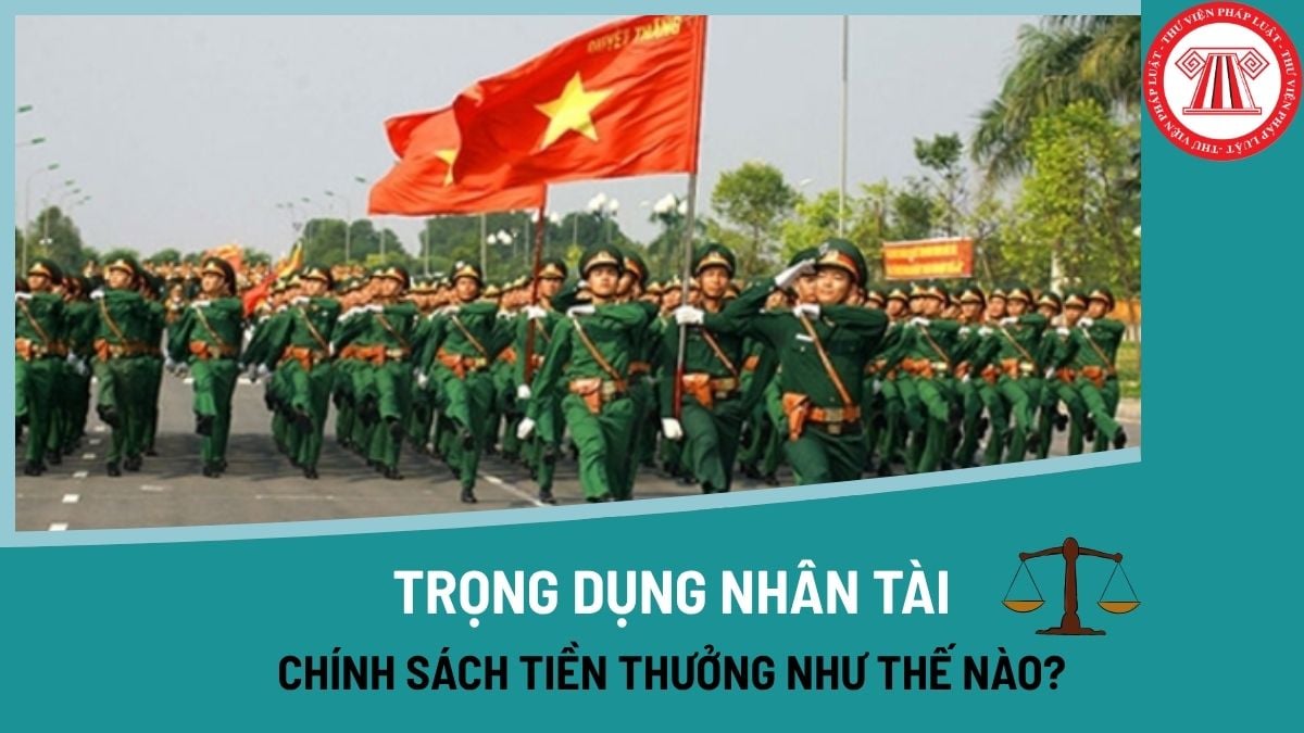 Pháp luật