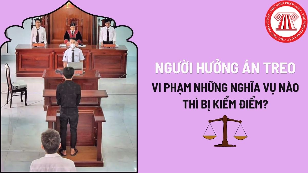 Pháp luật