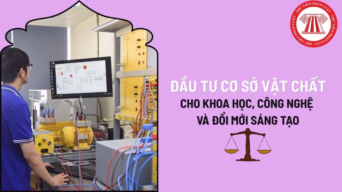 Pháp luật