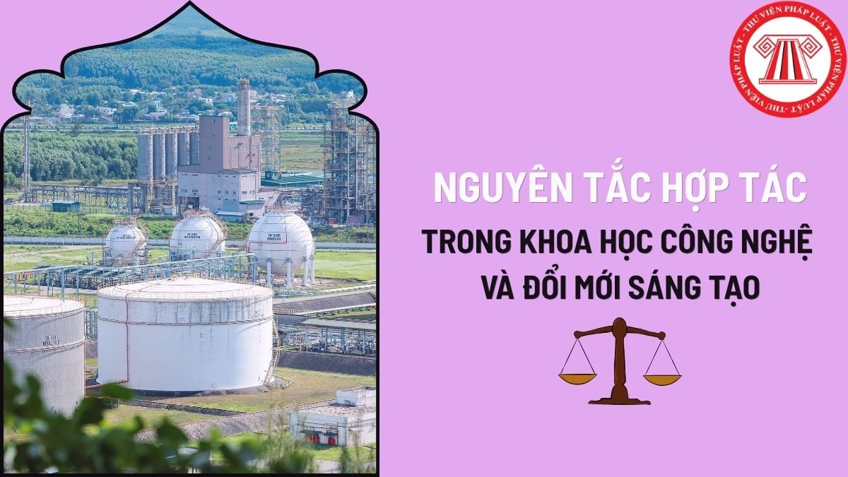 Pháp luật
