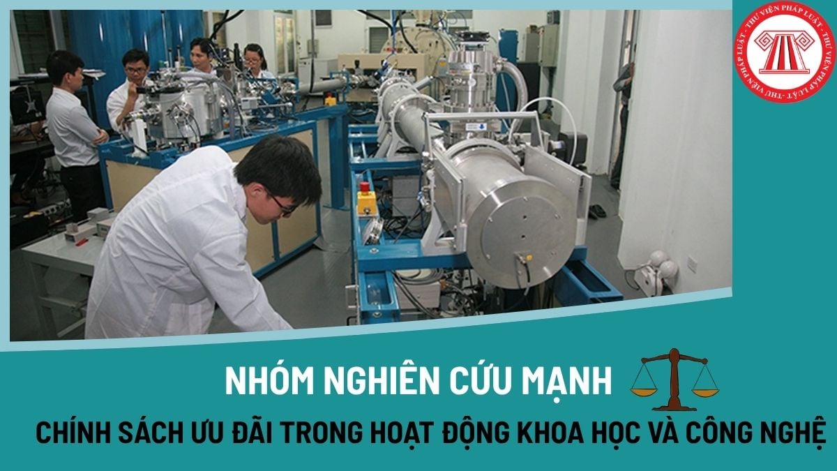 Pháp luật