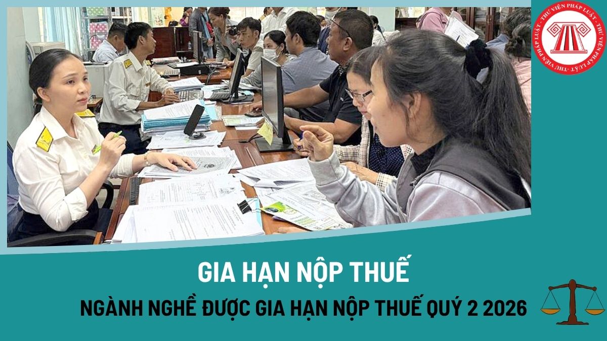 Pháp luật