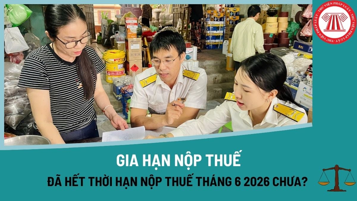 Pháp luật