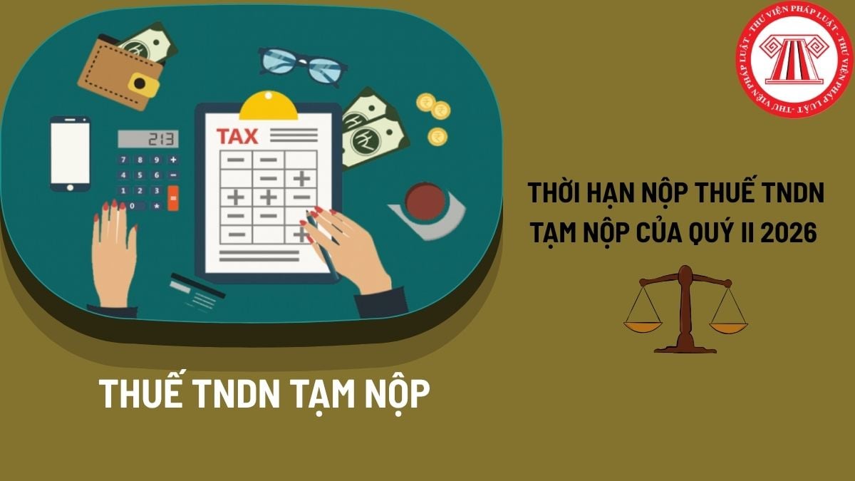 Pháp luật