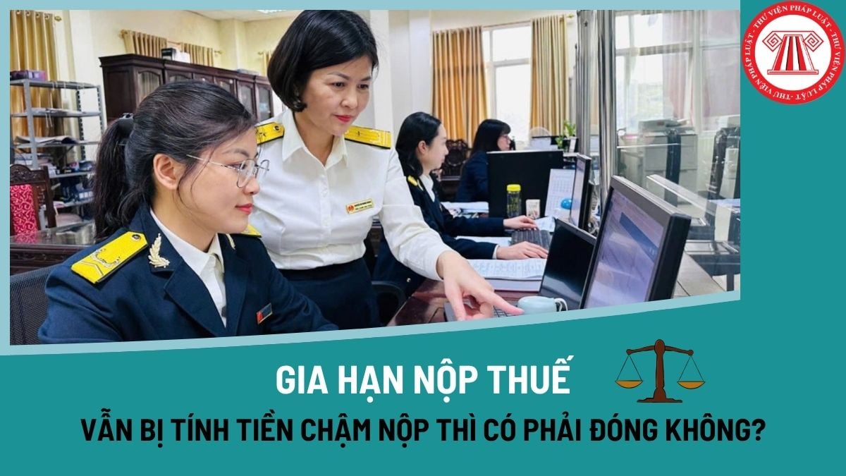 Pháp luật