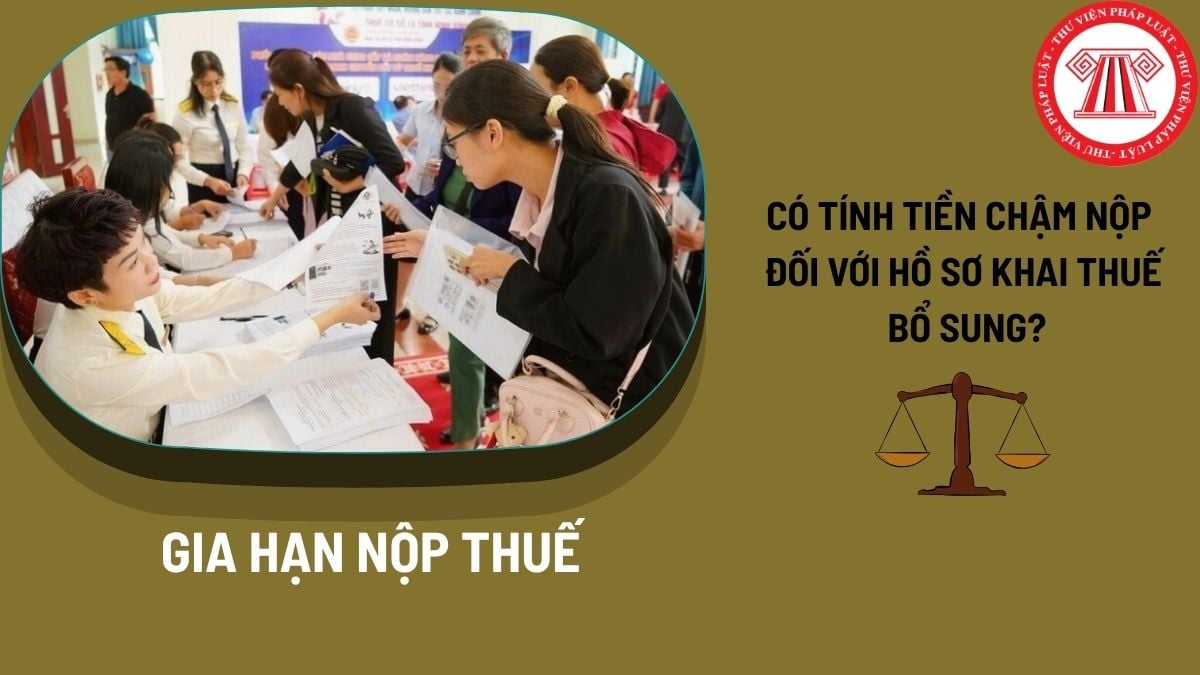 Pháp luật